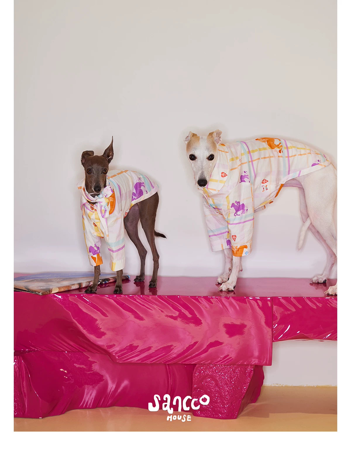 Playful Circus Lounge Pet Set