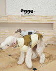 Apex Quick-Zip 90 Down Vest