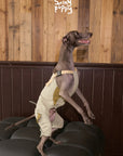 Swingpuppy Trail-Ready Quilted Overalls