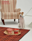 Elevated Ceramic Dog Bowl Cute Raised Pet Bowl