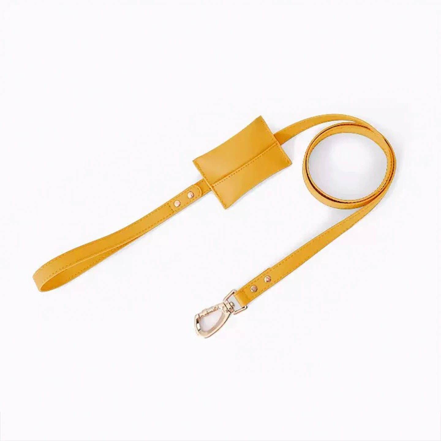 Adjustable Leather Dog Harness and Leash