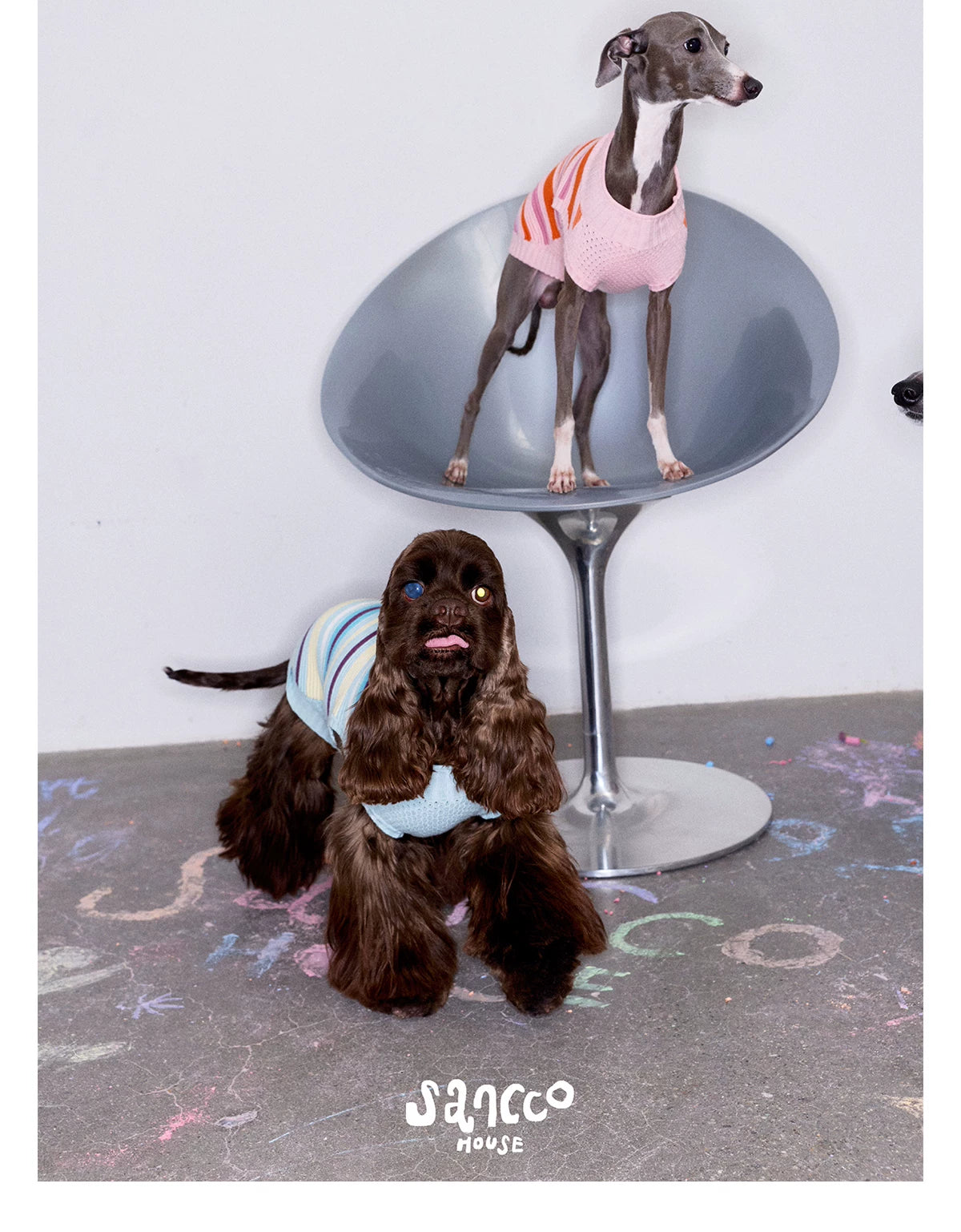Malibu Sunset Stripe Pet Vest