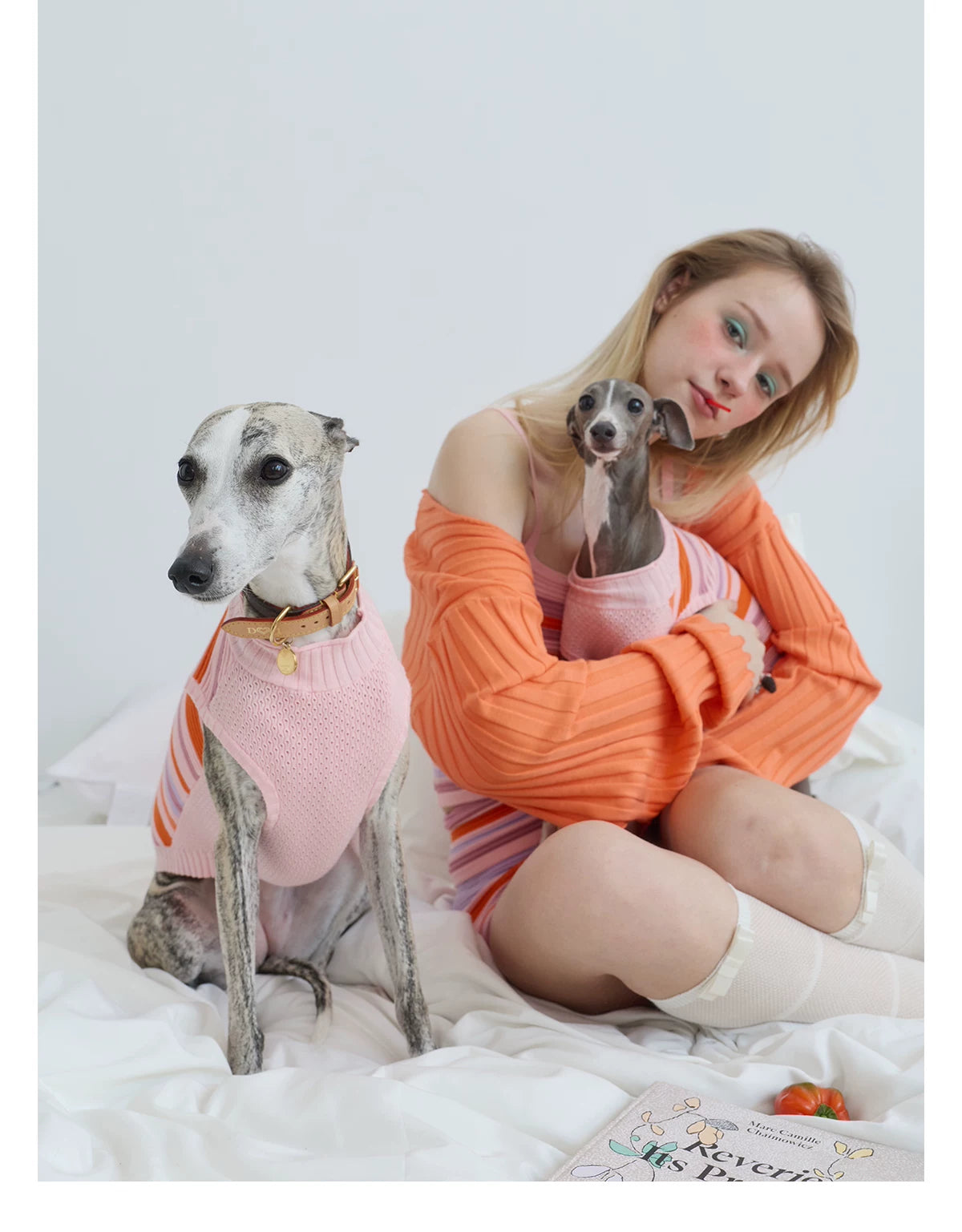 Malibu Sunset Stripe Pet Vest