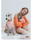 Malibu Sunset Stripe Pet Vest