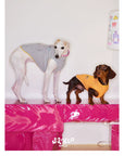 Little Artist Pup Vest