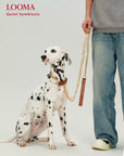 Dog Leash and Collar Set Heavy Duty Chain Pet Leash