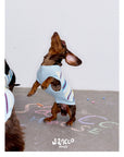 Malibu Sunset Stripe Pet Vest