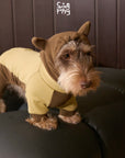 Swingpuppy Little Devil Cozy Bodysuit