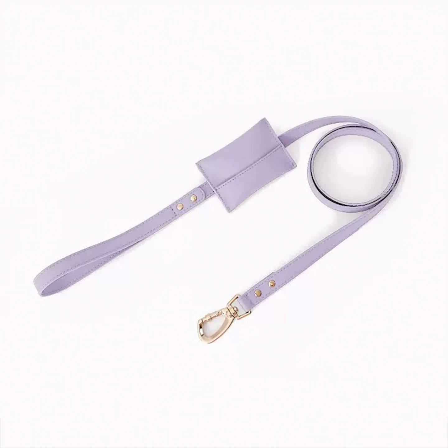 Adjustable Leather Dog Harness and Leash
