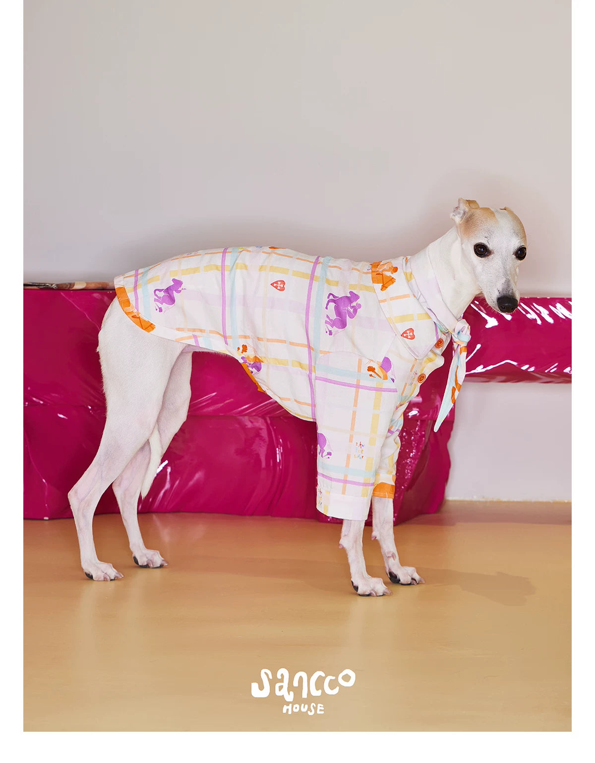Playful Circus Lounge Pet Set