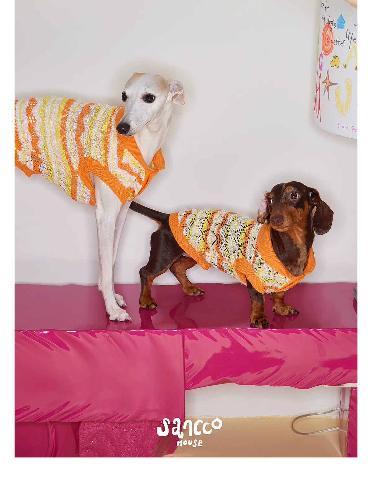 Honey Stripe Knit Pet Vest