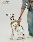 Waterproof Adjustable Pet Harness with Leash