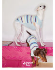 Malibu Sunset Stripe Pet Vest