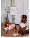 Malibu Sunset Stripe Pet Vest