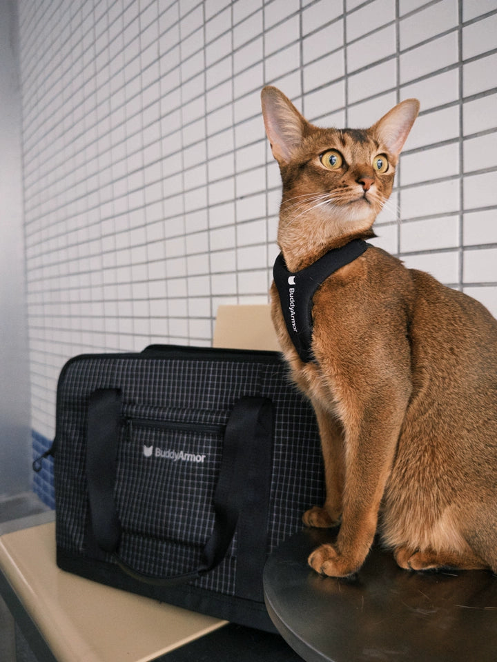 Breathable Travel Cat Carrier Tote