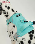 Waterproof Adjustable Pet Harness with Leash