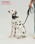 Leather Adjustable Pet Collar and Leash