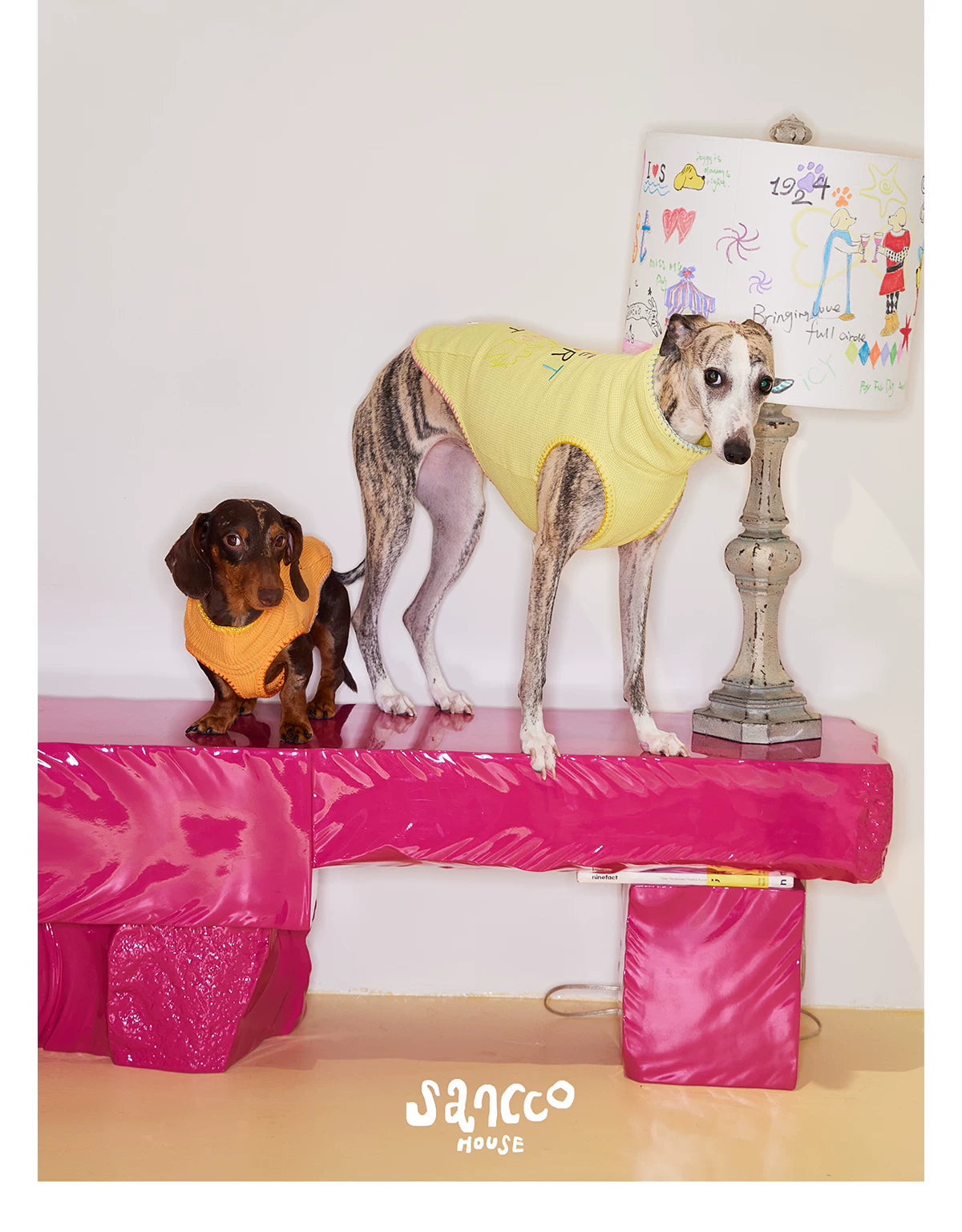 Little Artist Pup Vest