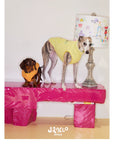 Little Artist Pup Vest