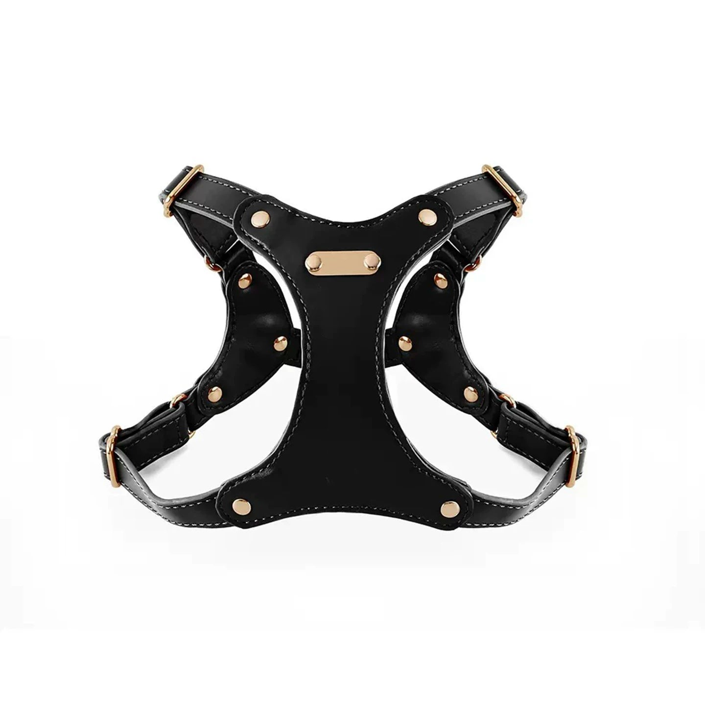 Adjustable Leather Dog Harness and Leash