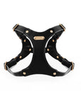 Adjustable Leather Dog Harness and Leash