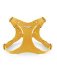 Adjustable Leather Dog Harness and Leash