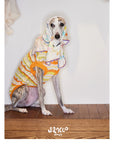 Honey Stripe Knit Pet Vest