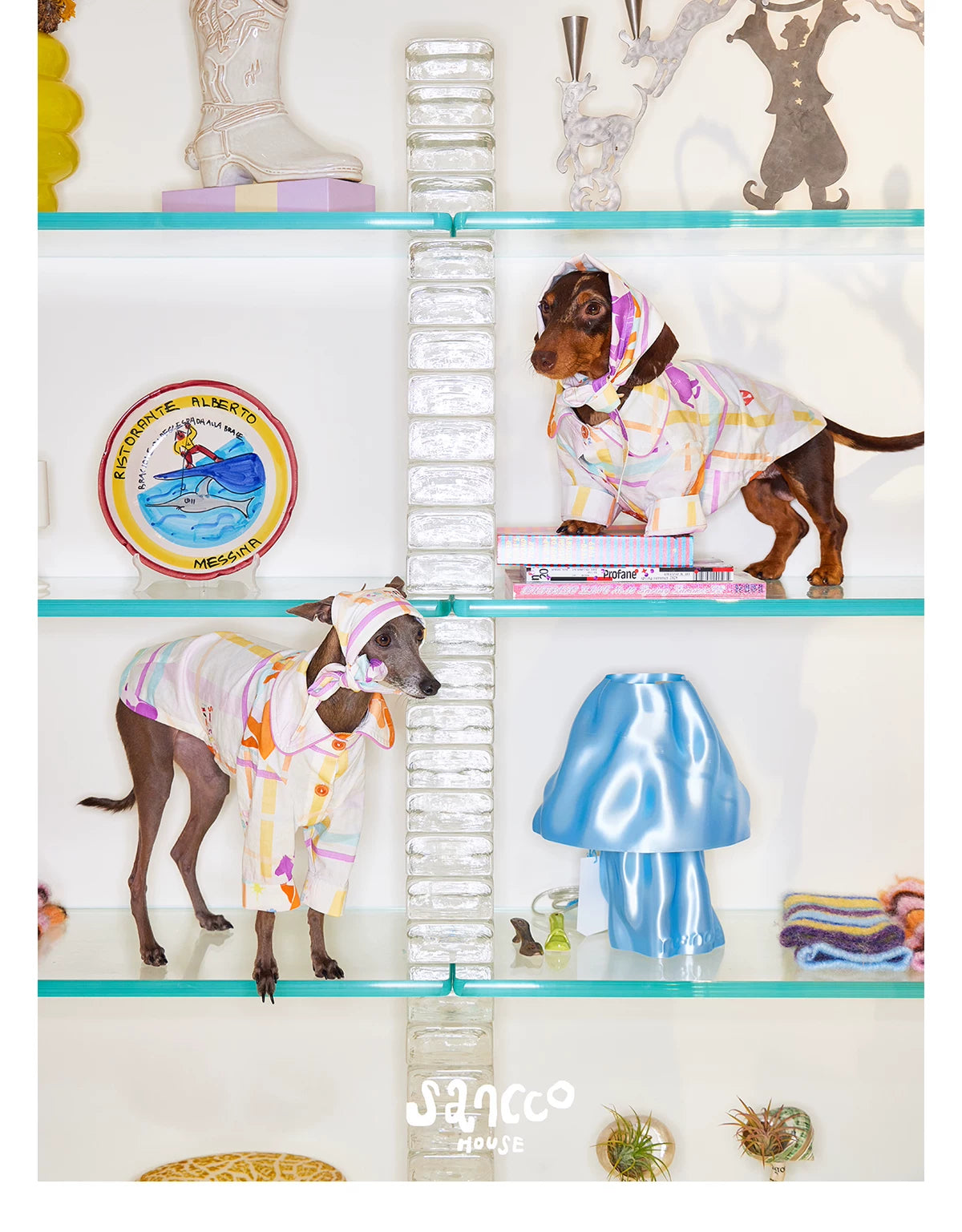 Playful Circus Lounge Pet Set