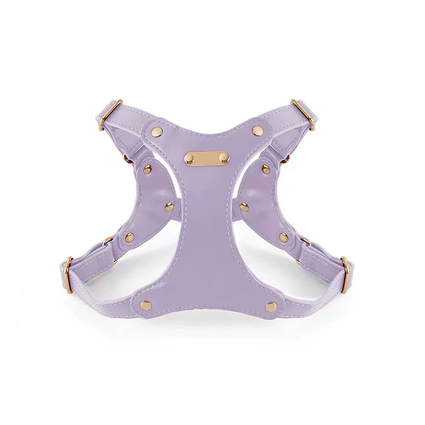 Adjustable Leather Dog Harness and Leash