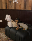 Swingpuppy Trail-Ready Quilted Overalls