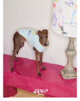 Little Artist Pup Vest