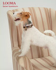 Leather Dog Collar Adjustable Pet Collar with Rhinestone Charm