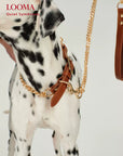 Dog Leash and Collar Set Heavy Duty Chain Pet Leash