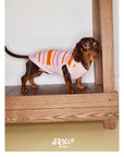 Malibu Sunset Stripe Pet Vest