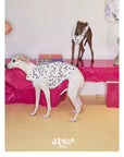Dalmatian Muse Print Vest