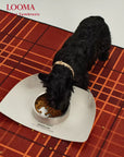 Stainless Steel Dog Bowl Non Slip Pet Feeding Bowl