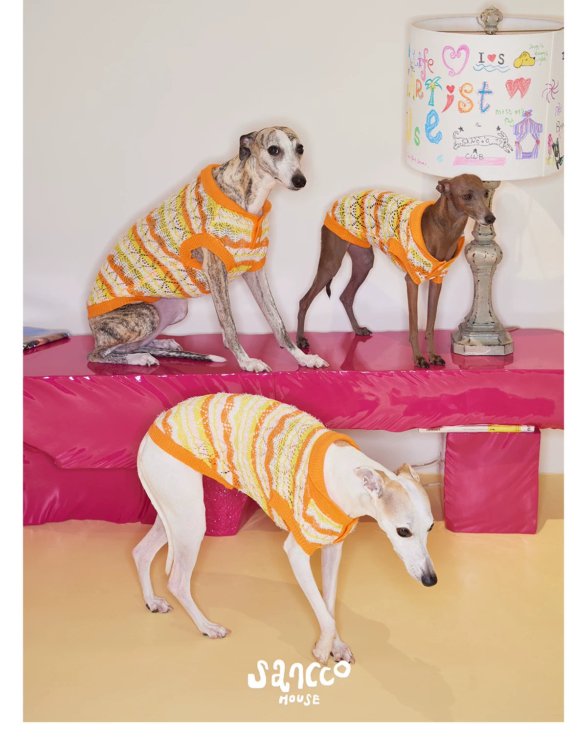 Honey Stripe Knit Pet Vest