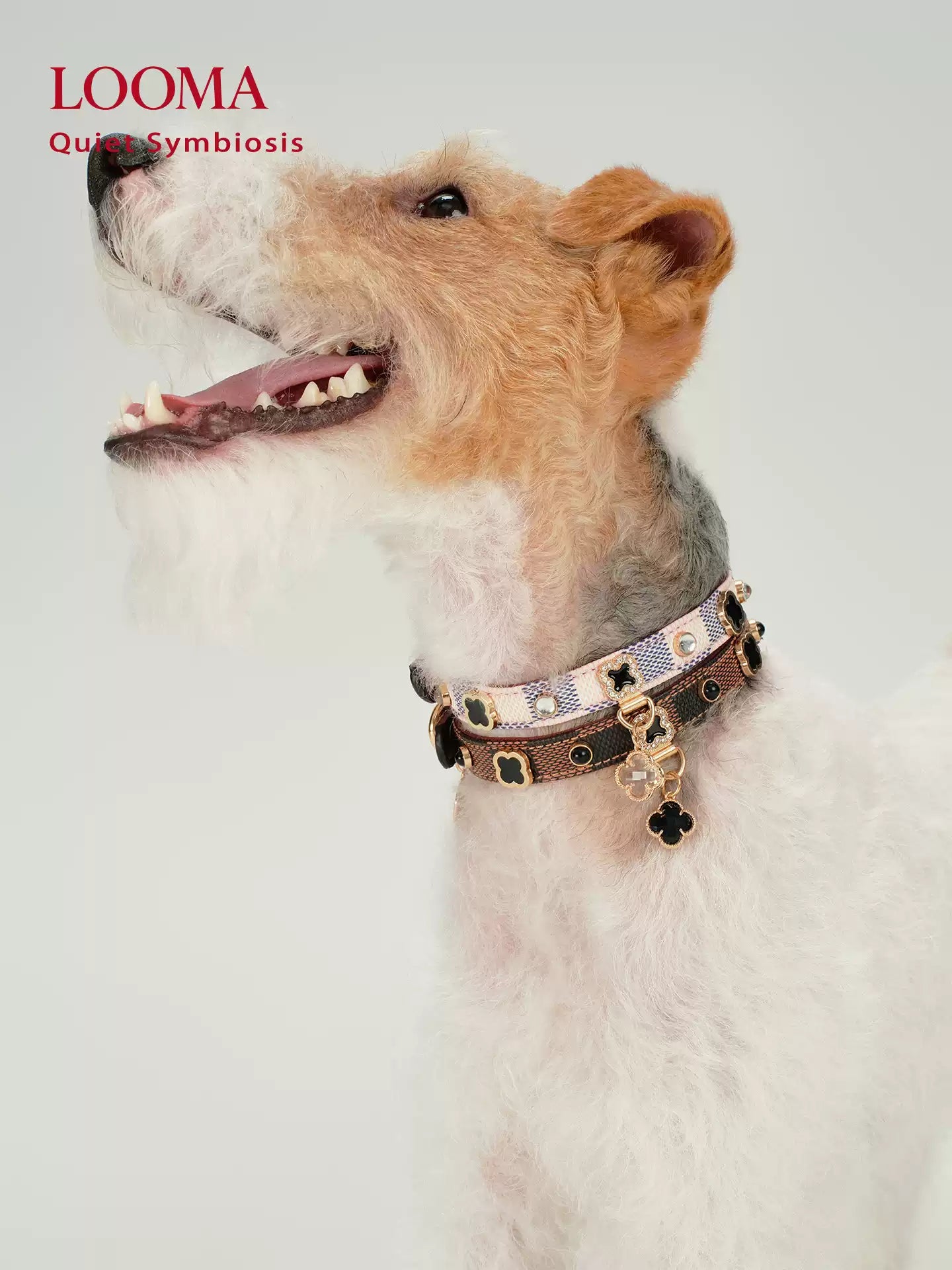 Leather Dog Collar Adjustable Pet Collar with Rhinestone Charm