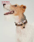 Leather Dog Collar Adjustable Pet Collar with Rhinestone Charm