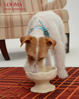 Elevated Ceramic Handmade Raised Pet Feeding Bowl