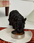 Stainless Steel Dog Bowl Non Slip Pet Feeding Bowl