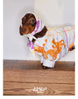 Playful Circus Lounge Pet Set