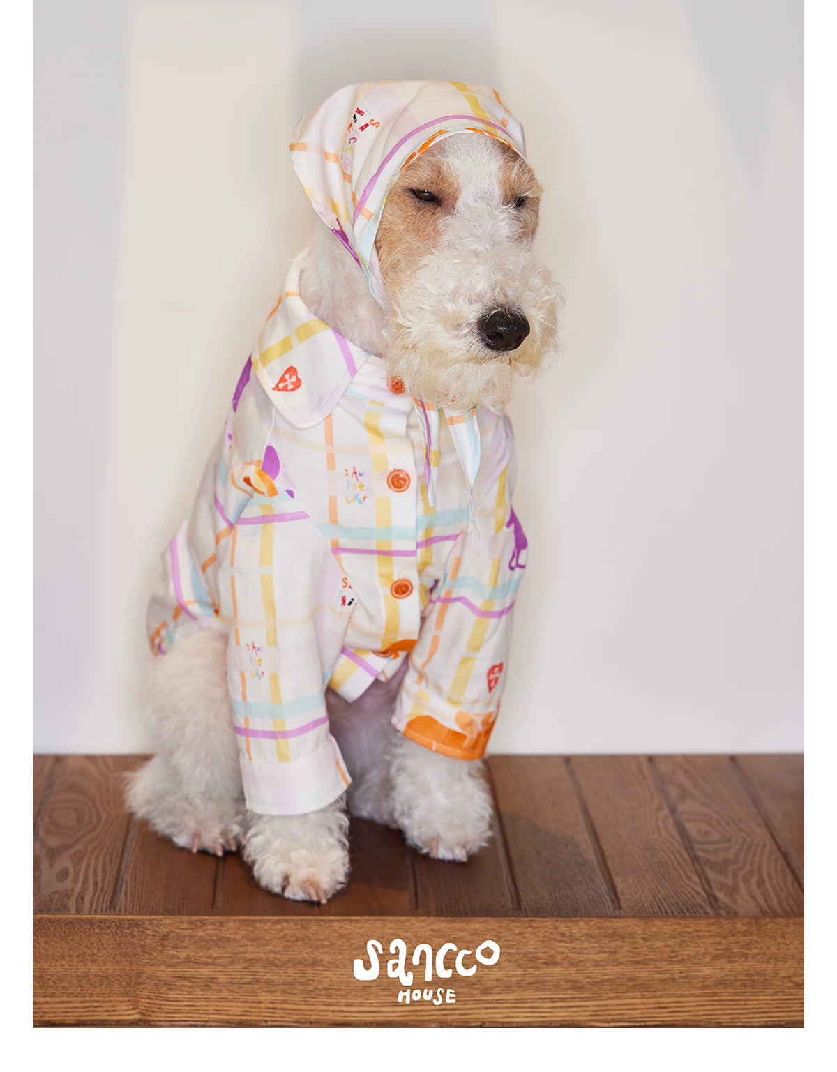 Playful Circus Lounge Pet Set