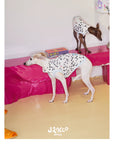 Dalmatian Muse Print Vest