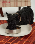 Stainless Steel Dog Bowl Non Slip Pet Feeding Bowl