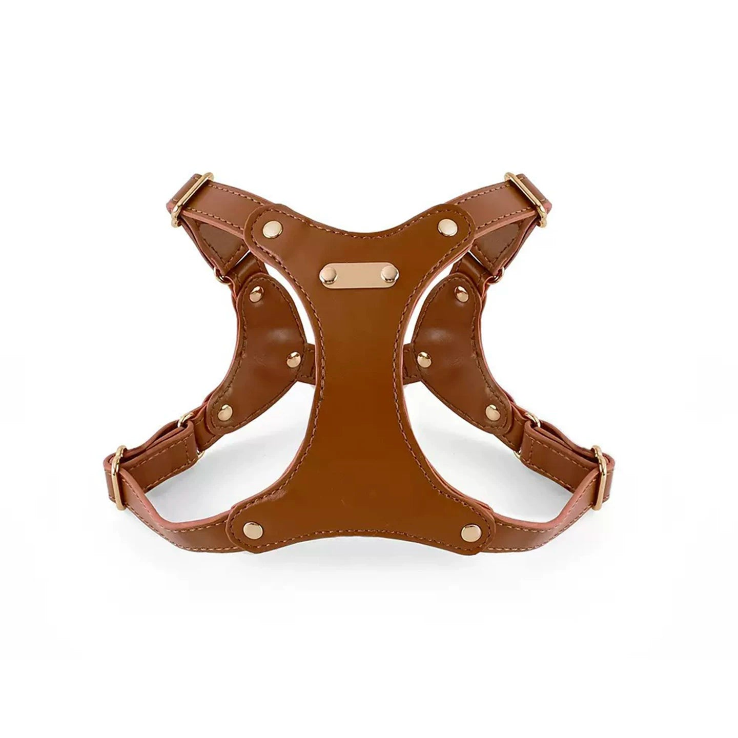 Adjustable Leather Dog Harness and Leash