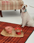 Elevated Ceramic Dog Bowl Cute Raised Pet Bowl