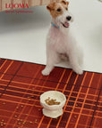 Elevated Ceramic Handmade Raised Pet Feeding Bowl