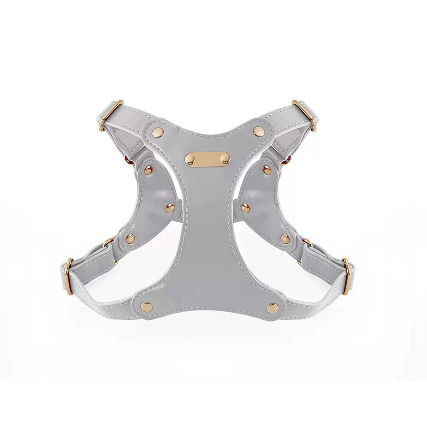 Adjustable Leather Dog Harness and Leash