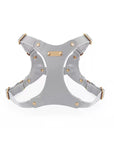 Adjustable Leather Dog Harness and Leash